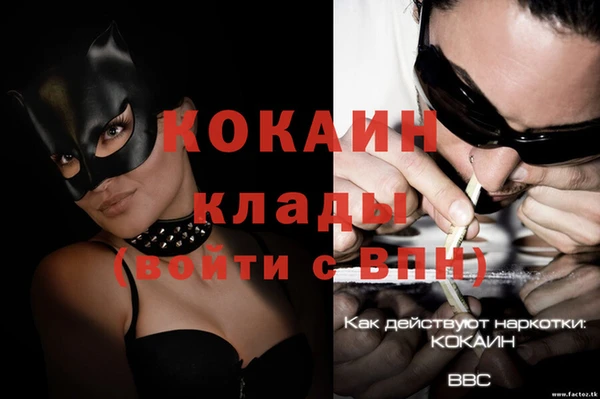 тгк Богородицк