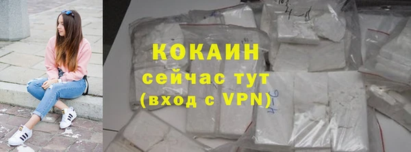 бошки Бородино