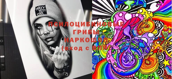 тгк Богородицк