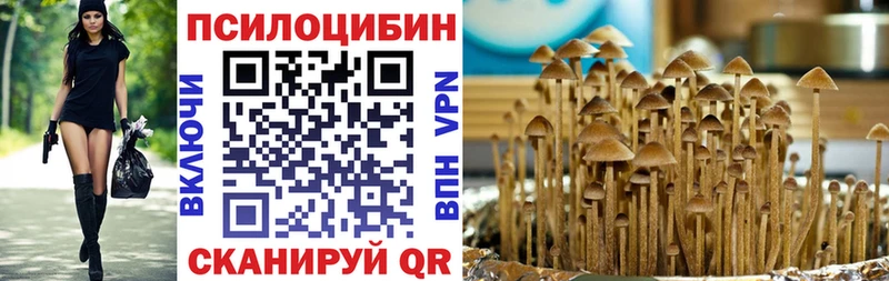 Псилоцибиновые грибы Cubensis  blacksprut   Ковылкино  дарнет шоп 